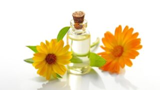 Thumbnail of post image 131
